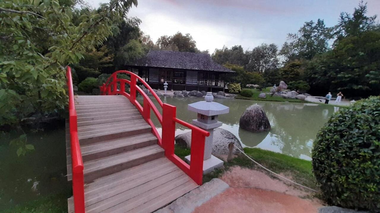 Magnifique Studio Compans Caffarelli Toulouse Exteriör bild